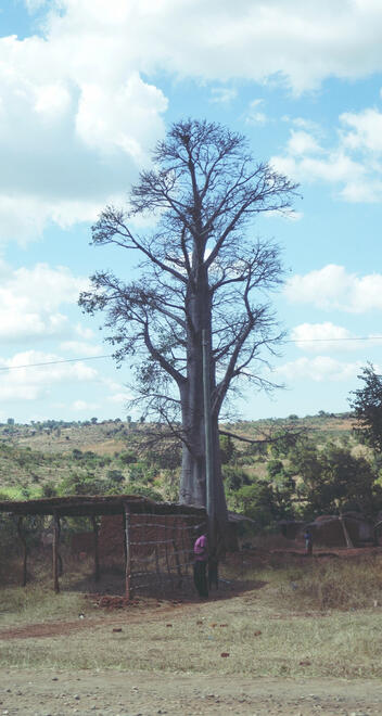 STARXPRESS STARXPRESS